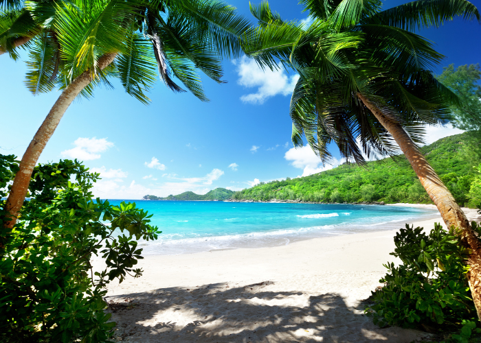 Beautiful Seychelles and its gorgeous attractions. 