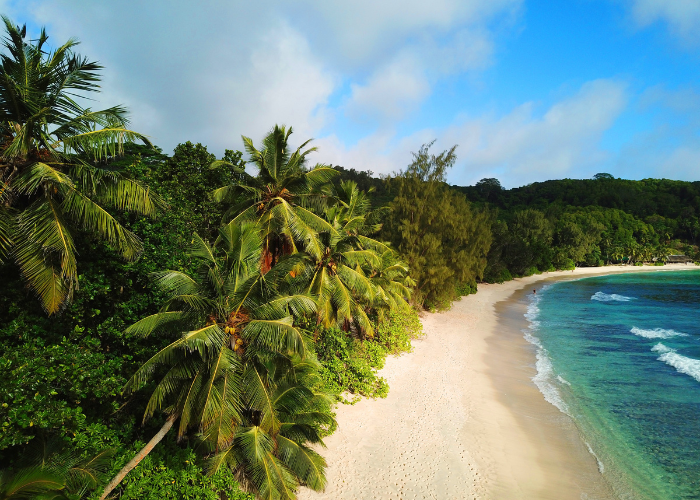 Wildlife safari in Mahe