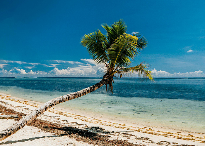 Seychelles for first timers.